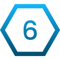 hex-6